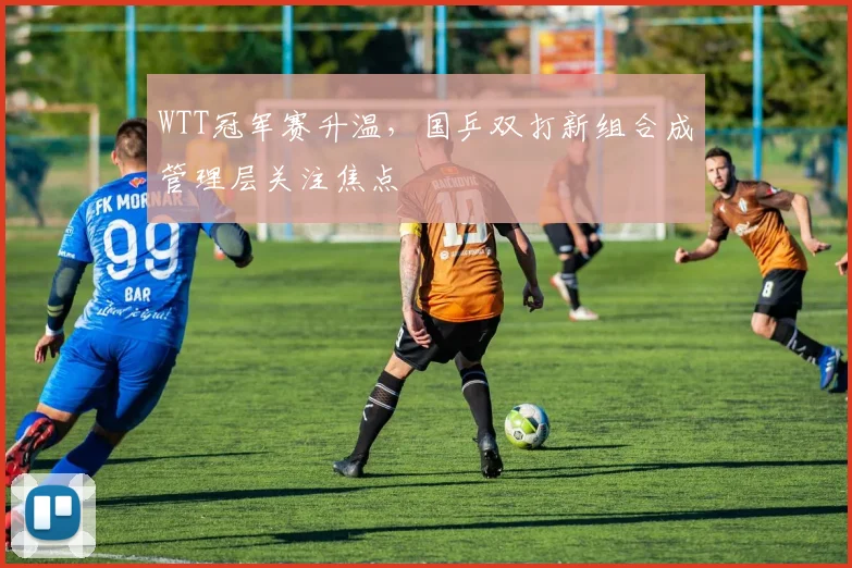 WTT冠军赛升温，国乒双打新组合成管理层关注焦点