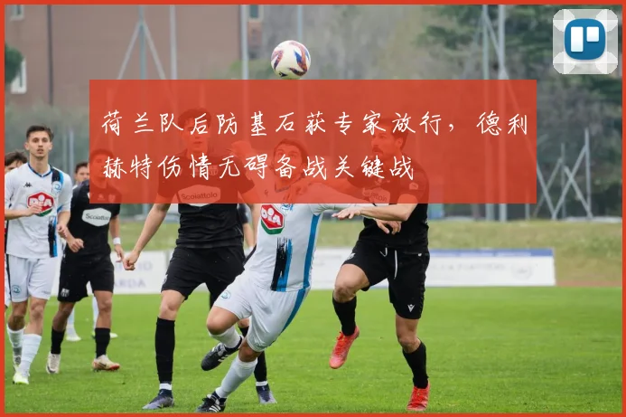 荷兰队后防基石获专家放行，德利赫特伤情无碍备战关键战
