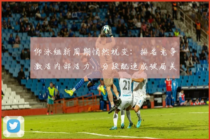 仰泳组新周期悄然蜕变：排名竞争激活内部活力，分段配速成破局关键