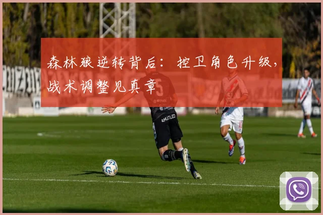 森林狼逆转背后：控卫角色升级，战术调整见真章