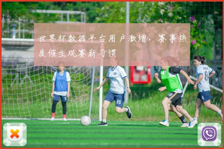 世界杯数据平台用户激增，赛事热度催生观赛新习惯