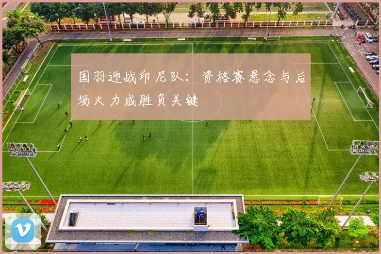 国羽迎战印尼队：资格赛悬念与后场火力成胜负关键