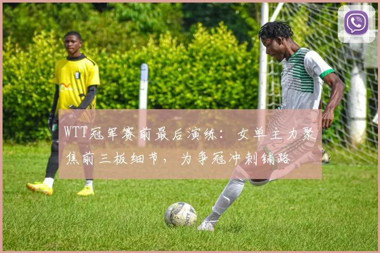 WTT冠军赛前最后演练：女单主力聚焦前三板细节，为争冠冲刺铺路